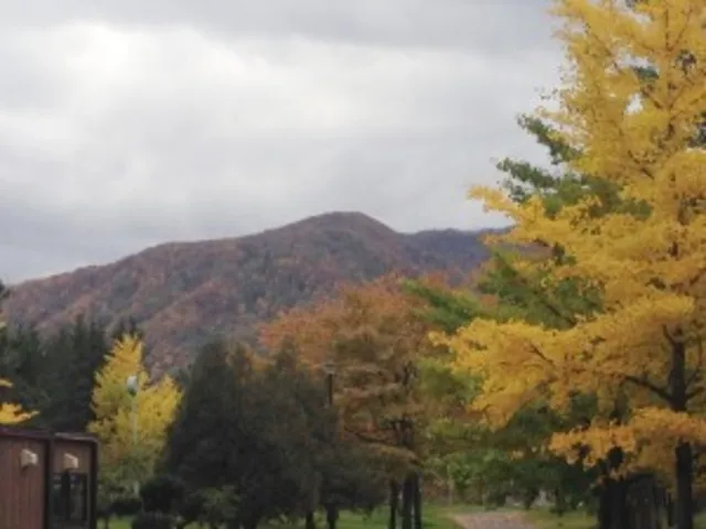 【紅葉・見ごろ】手稲稲積公園