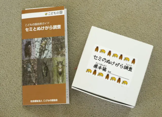 セミのぬけがら調査