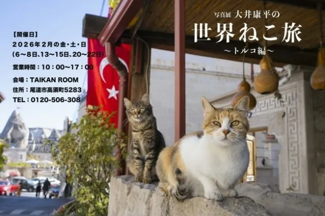 写真展「大井康平の世界ねこ旅 ～トルコ編～」