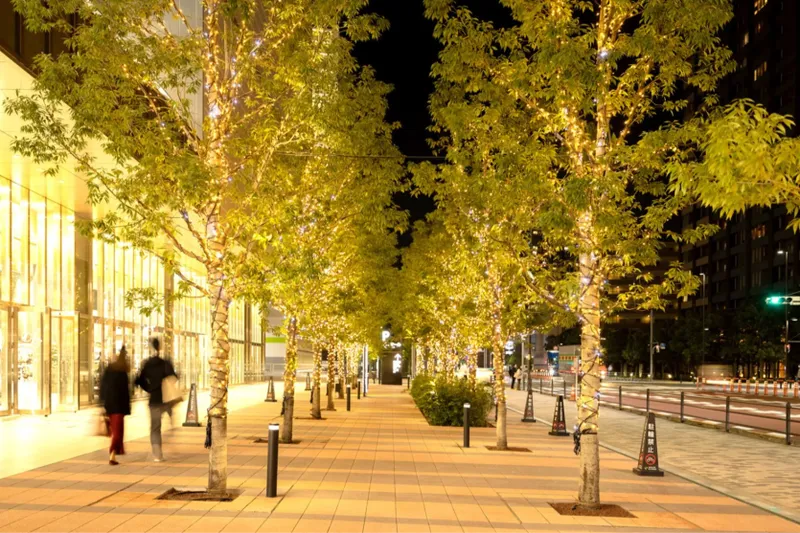 有明ガーデン シーズンイルミネーション_5