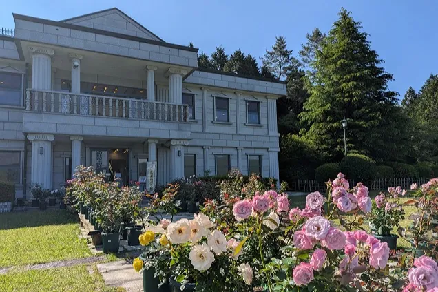 初夏のバラ展【恩賜箱根公園】