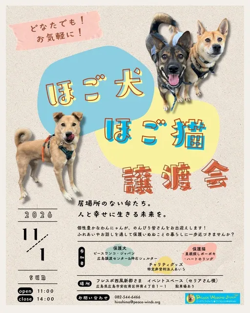 ほご犬ほご猫　譲渡会