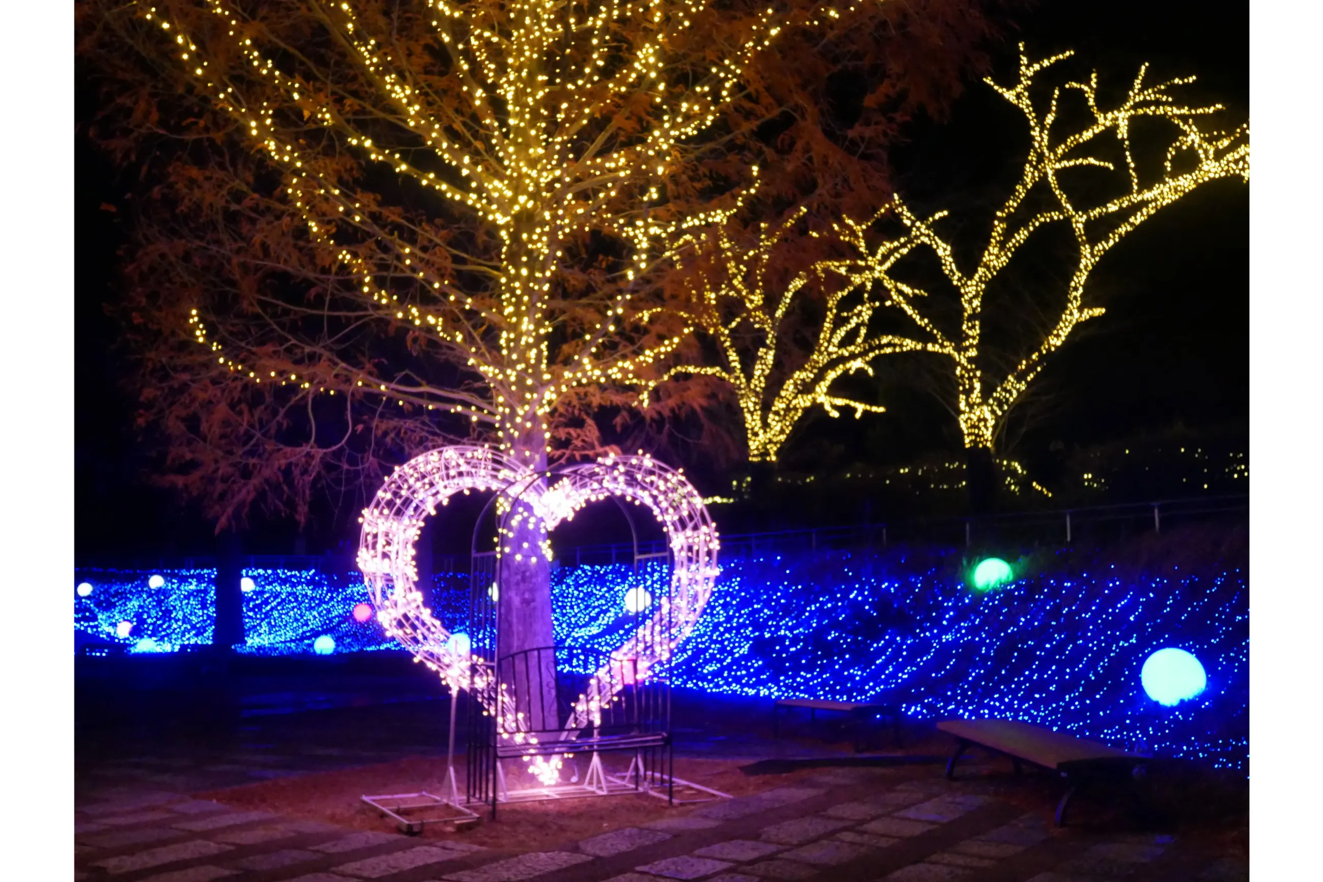 1)　夜のイルミネーション 光と森のストーリー 最終章 スターライトイルミネーション