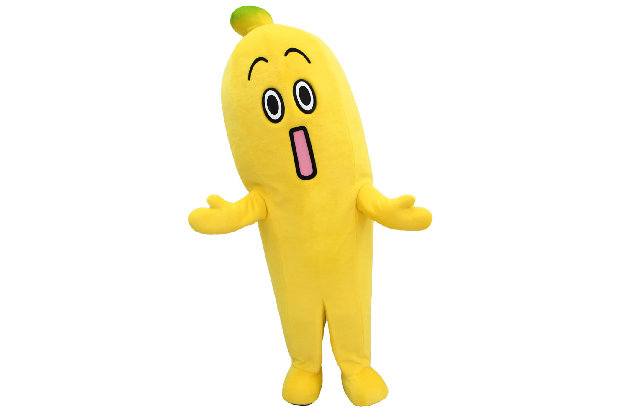 トミカ博 in TOKYO トミカ博2025東京 イベントモデル及び入場