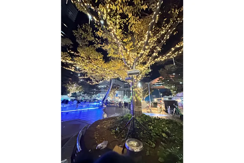 第35回千葉都心イルミネーション　ルミラージュちば2025/2026_4