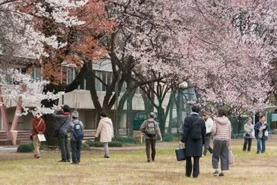 過去開催の様子