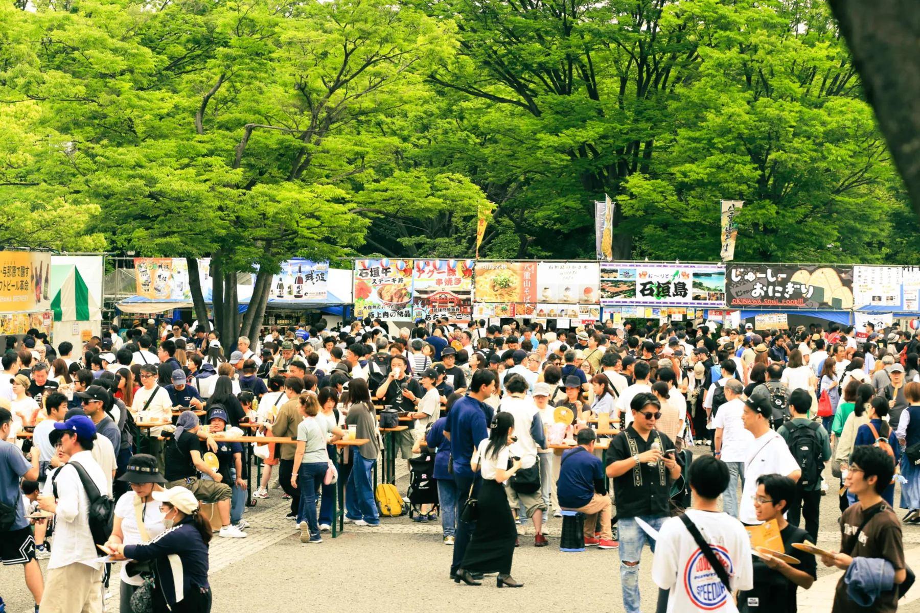 OKINAWA FES Milafete_3
