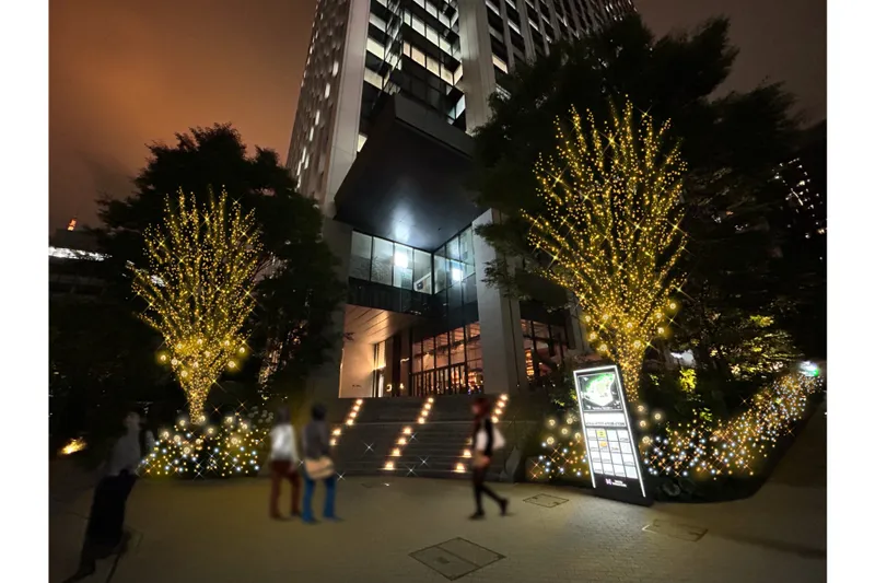 東京ワールドゲート　ウィンターイルミネーション_3