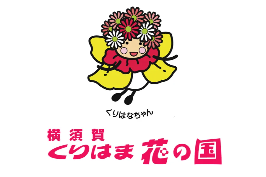 「ヒマワリ」の見頃【横須賀市くりはま花の国】_9
