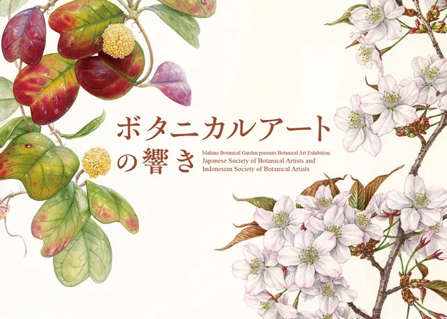 企画展「ボタニカルアートの響きー日本とインドネシアの植物画家たち」