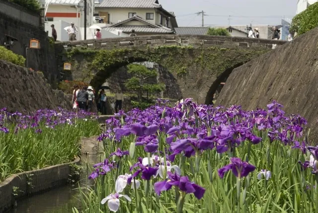 高瀬裏川花しょうぶまつり