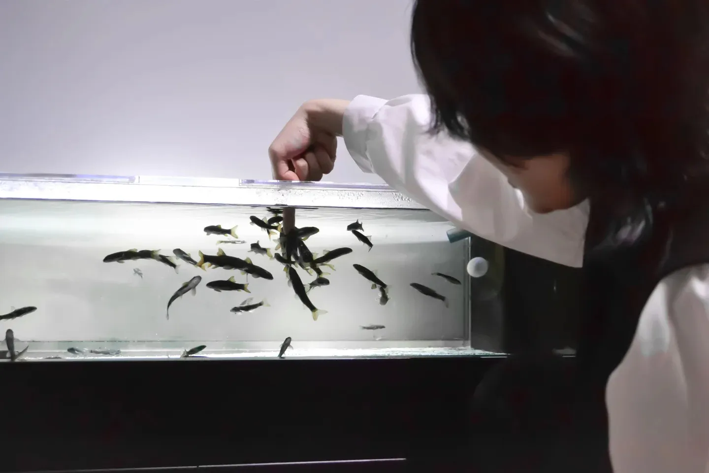 夏休み限定イベント「カワスイで カワ遊び！川と森の昆虫大発見！」_15