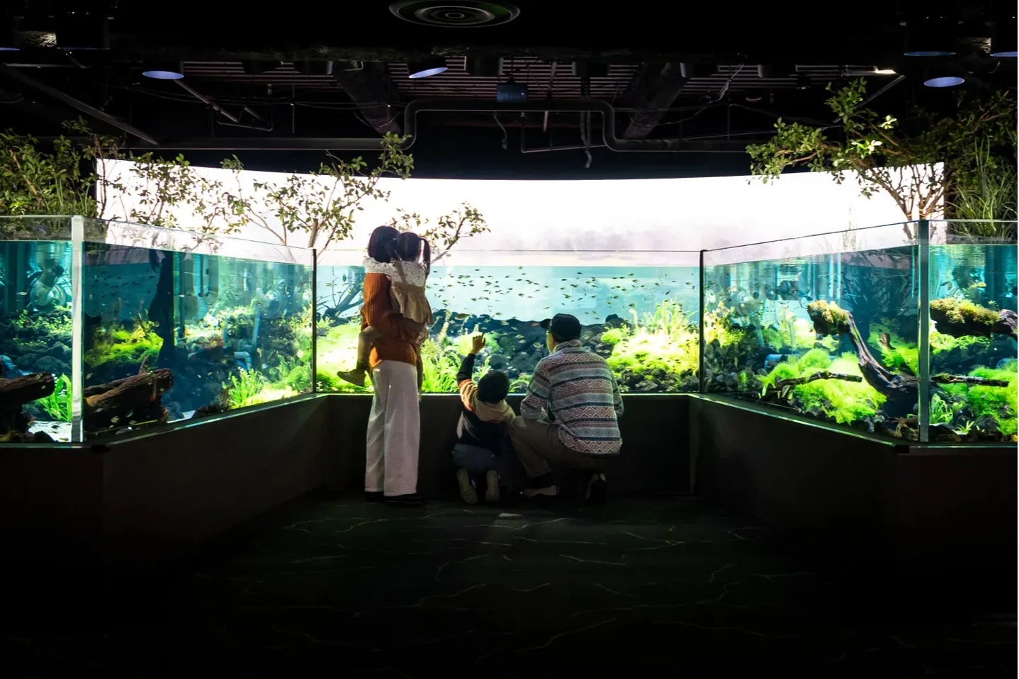 夏休み限定イベント「カワスイで カワ遊び！川と森の昆虫大発見！」_19
