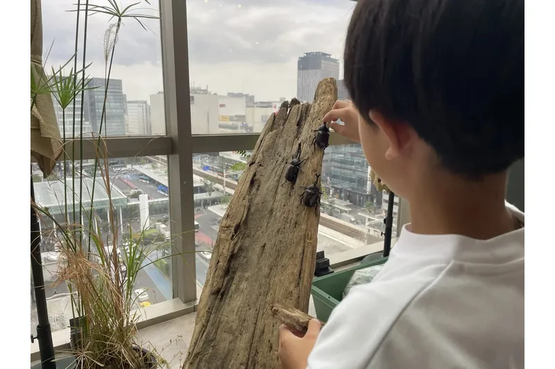 ふれあいイメージ