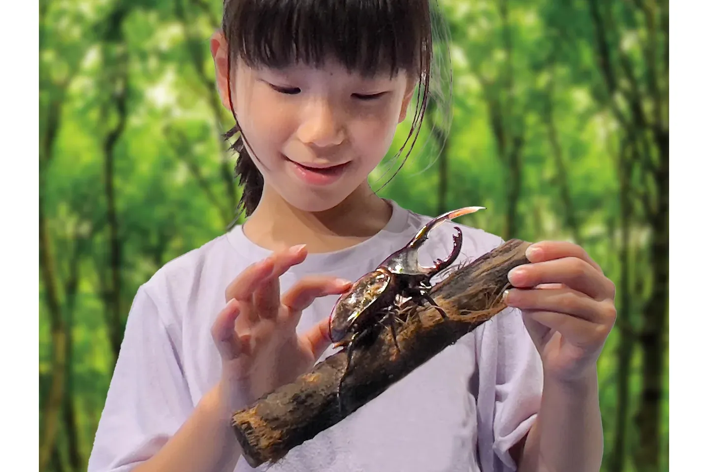 夏休み限定イベント「カワスイで カワ遊び！川と森の昆虫大発見！」_20