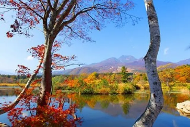 【紅葉・見ごろ】いもり池_1