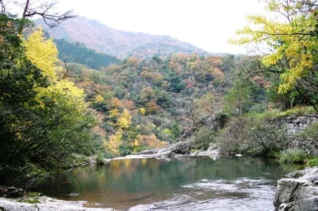 【紅葉・見ごろ】千丈渓_1