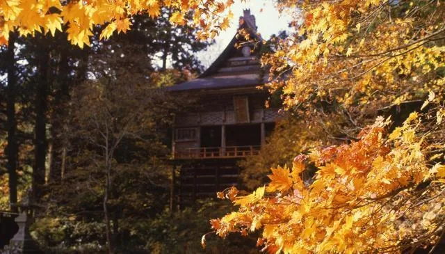 【紅葉・見ごろ】佐渡　清水寺（せいすいじ）_1