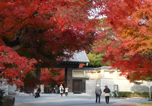 【紅葉・見ごろ】毛利氏庭園／毛利博物館　特別展「国宝」_1