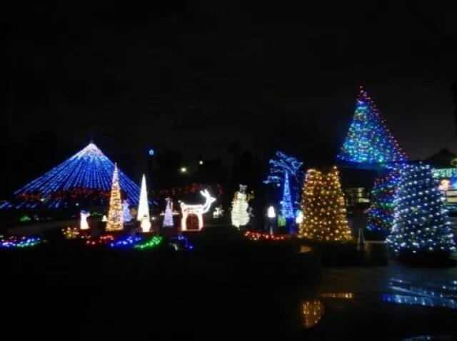 北本総合公園イルミネーション_1