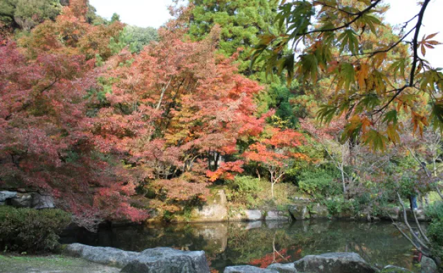 【紅葉・見ごろ】木戸公園_1