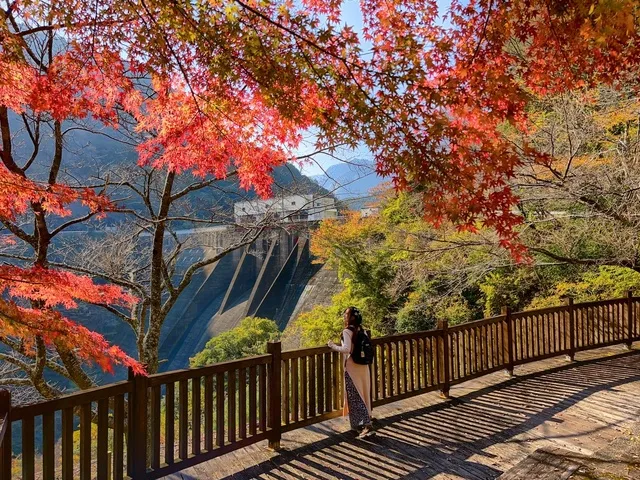【紅葉・見ごろ】宮川ダム_1