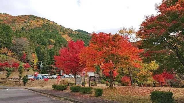 【紅葉・見ごろ】付知峡_1