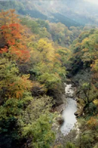 【紅葉・見ごろ】二口峡谷_1