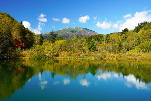 【紅葉・見ごろ】野麦峠_1