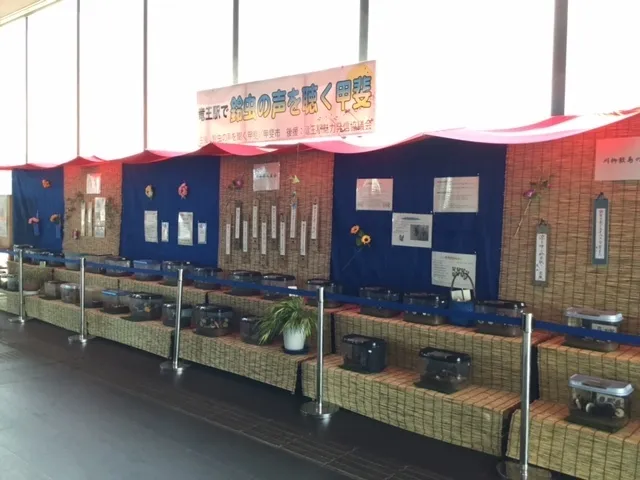 竜王駅で鈴虫の声を聴く甲斐_1