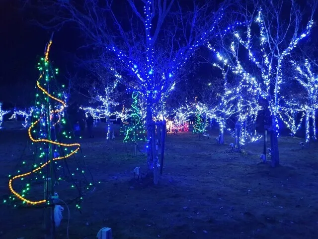三間の中山池自然公園イルミネーション_1