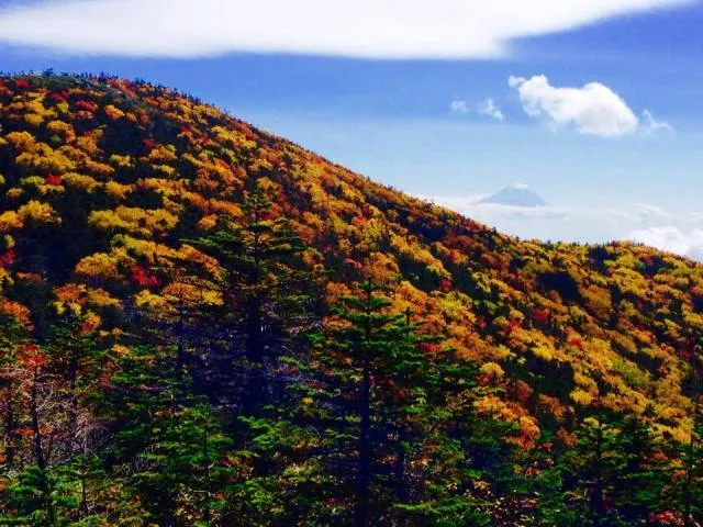 【紅葉・見ごろ】大弛峠_1