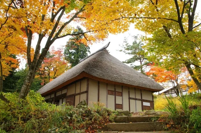 【紅葉・見ごろ】いいやま寺町_1