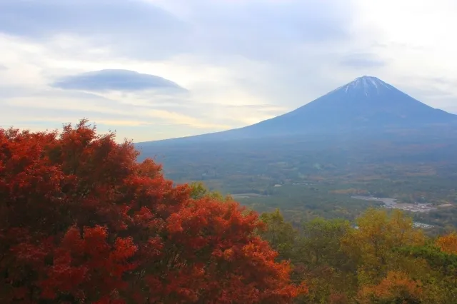 【紅葉・見ごろ】紅葉台_1
