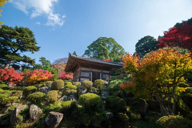 【紅葉・見ごろ】高林坊_1