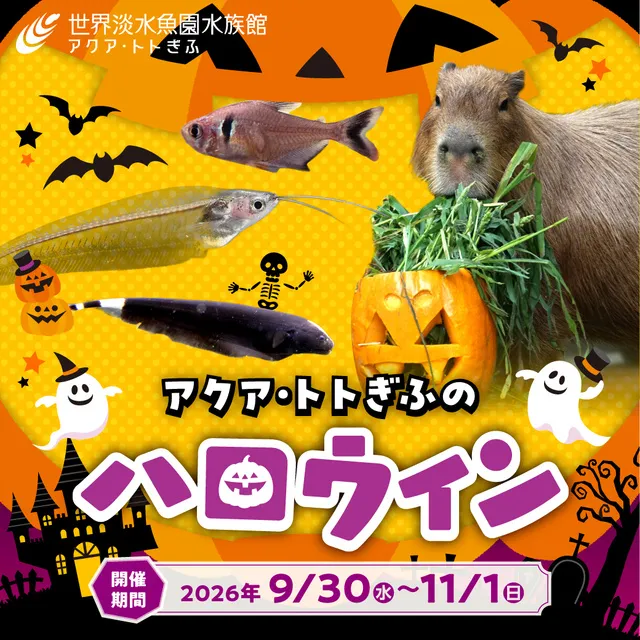アクア・トト ぎふのハロウィン_1