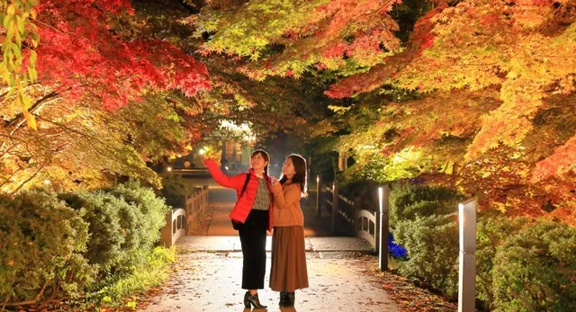 弘前城菊と紅葉まつり_1