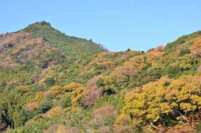 【紅葉・見ごろ】鐘ヶ嶽と広沢寺温泉周辺_1