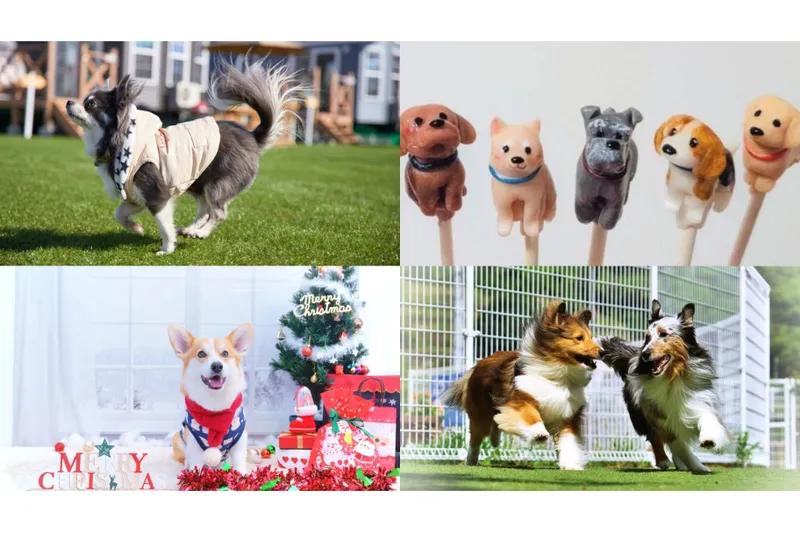 Fan Fun Day 2025 in Solana木更津