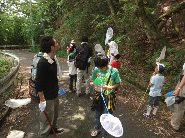 昆虫採集と標本づくり_1