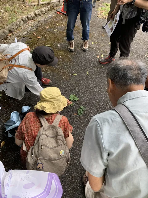 風土記植物園教室～秋を彩る花と樹木～_1
