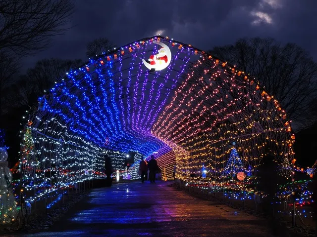 花と光のクリスマス_1