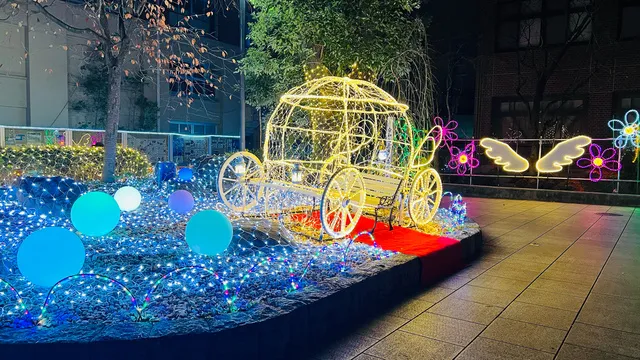 アグネス・イルミネーション2025_1