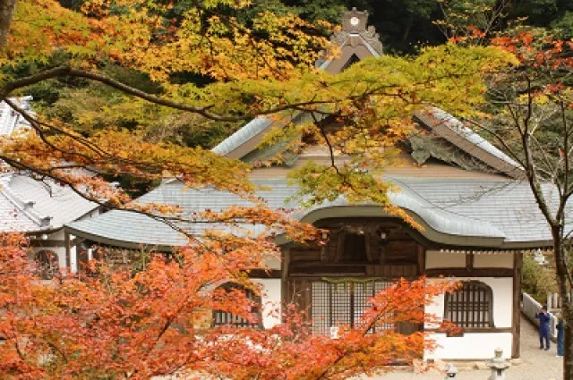 【紅葉・見ごろ】新大仏寺_1