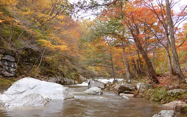 【紅葉・見ごろ】重湍渓_1