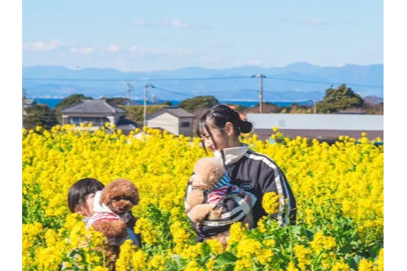 SOLEIL DOG Friendship Day 2026 -Winter- Chill＆Camp