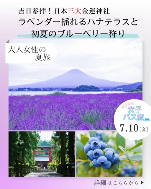 大人女性の夏旅 吉日参拝 日本三大金運神社 ラベンダー揺れるハナテラスと初夏のブルーベリー狩り_1