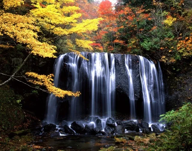 【紅葉・見ごろ】達沢不動滝_1
