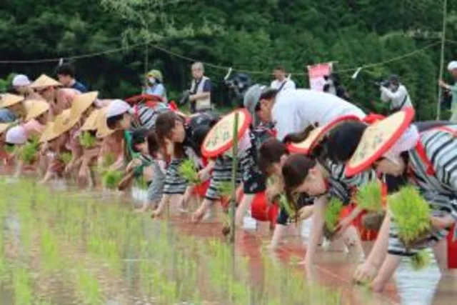 田染荘御田植祭_1