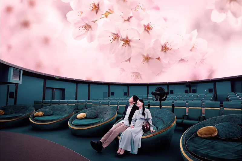 桜ウェルカムドーム